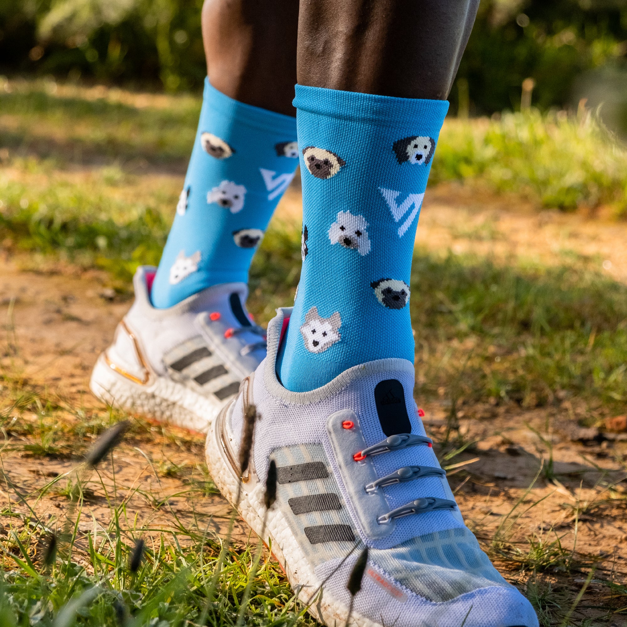 Dog Active Socks